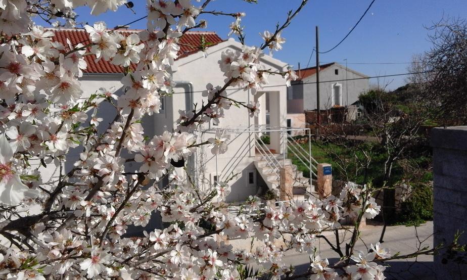 Apartment Ruza Sali Exterior photo